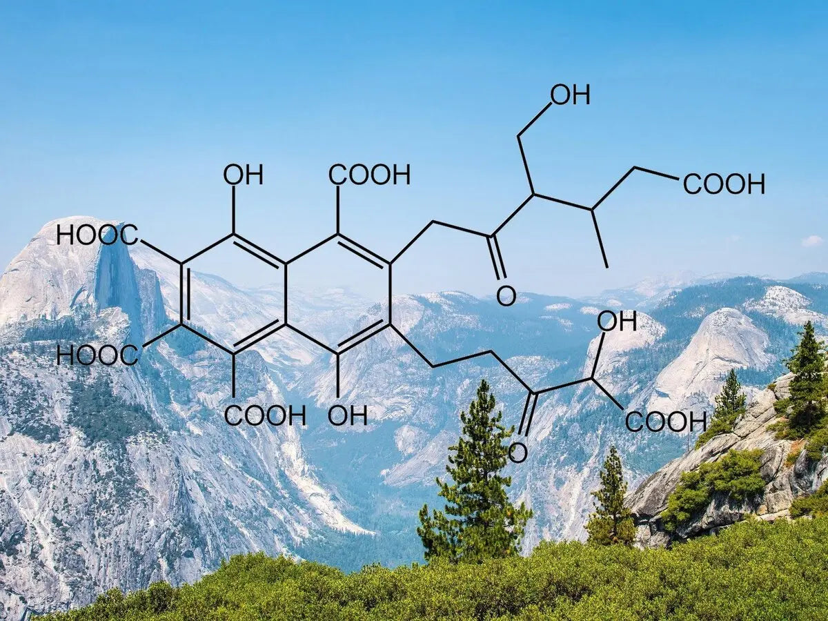 Die Geheimnisse von Shilajit: Herstellung und Herkunft HimalayaKraft