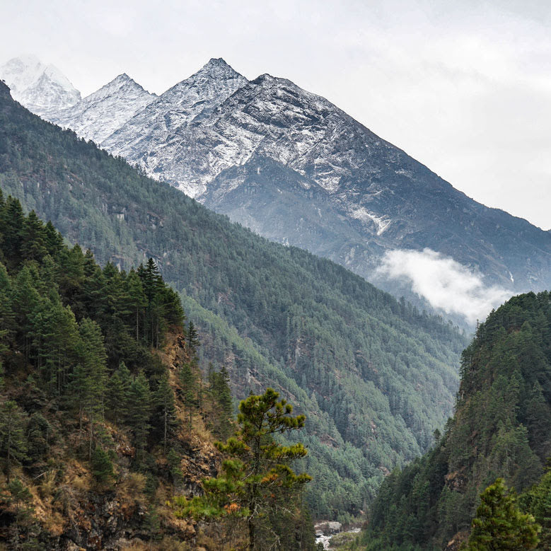 Himalaya-Gebirge und Wald